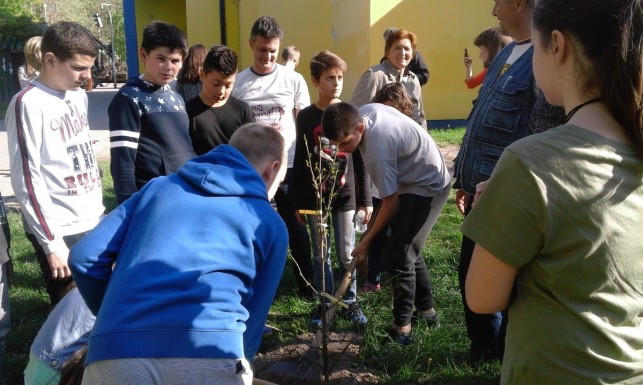 Dan MZ “Dositej Obradović”