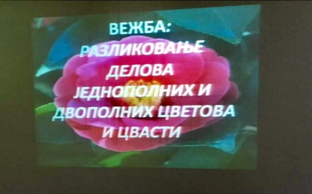 Cvetovi i cvasti u rukama petaka