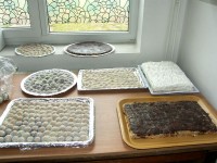 SAMSUNG DIGITAL CAMERA